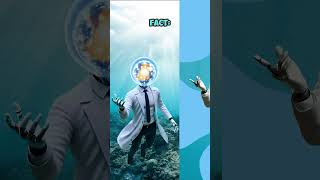 Dolphins Ocean Einsteins🐬🌊 shorts facts roadto500subs viral [upl. by Faux15]