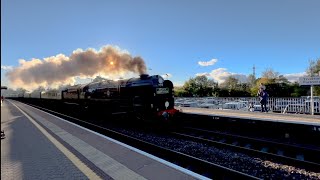 Clan Line Atlantic coast express at Exeter st David’s and Tiverton Parkway [upl. by Celinda]