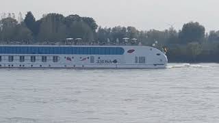 Flusskreuzfahrtschiff AROSA auf dem Rhein bei Rees flussaufwärts 181024 [upl. by Vaenfila]