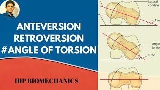 Anterversionamp Retroversion Angle of torsionhip biomechanics [upl. by Enyrhtak591]