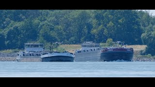 111 ShipspottingBinnenschiffe  Schiffe auf dem Rhein auf Insel Kühkopf Vosta  MainTauber [upl. by Larsen369]