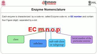 Enzyme Classification and Metabolism [upl. by Silvan]