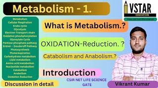 Metabolism  Overview of Metabolism  ATP  Oxidation Reduction  Catabolism  Anabolism Metabolism [upl. by Volin]