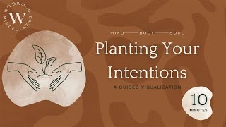 10 Minute Guided Visualization for Setting Intentions [upl. by Leahkim]