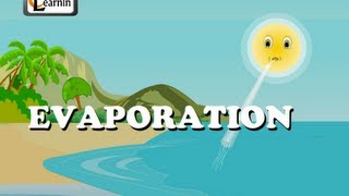 Evaporation  Elementary Science [upl. by Malita]