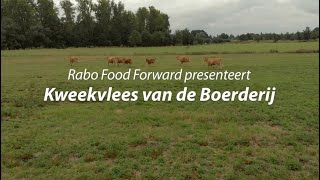 Kweekvlees  Rabo Food Forward [upl. by Leonardi358]