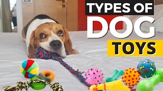 6 Types of Dog Toys and How to USE Them [upl. by Swayder]