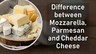 Difference between Mozzarella Parmesan and Cheddar Cheese  Basic Difference cheese [upl. by Drawyah]