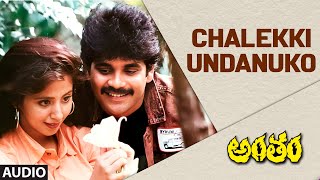 Chalekki Undanuko Audio Song  Antham  Nagarjuna Akkineni Urmila  Ram Gopal Varma  Telugu Songs [upl. by Trauts]