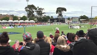 Stawell Gift Final 2016 winner Isaac Dunmall 1217sec [upl. by Tupler]