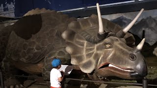 Dinosaurs  Zoosafari Fasanolandia short visit 4K  60fps [upl. by Jollanta]