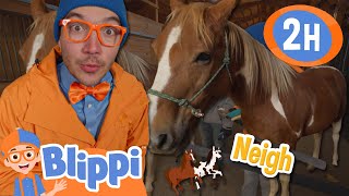 Blippi Meets Horses for the First Time  Learning Through Play  Blippi [upl. by Frohne]