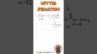 Wittig Reaction organicchemistry organicchemistrytutor [upl. by Ahgiel394]