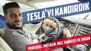 Doğan Kabak  Teslayı Portakalla Kandırdık PatlıcanDomates ve Soğanla Denedik English subtitled [upl. by Akemed364]