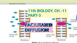 Class 11 BiologyCh11Part3Facilitated diffusionStudy with Farru [upl. by Craw]