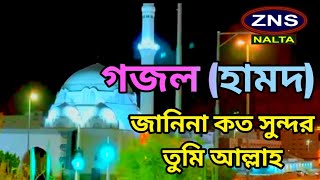 গজল হামদ জানিনা কত সুন্দর তুমি আল্লাহ ZNS Islamic Media [upl. by Inatirb]