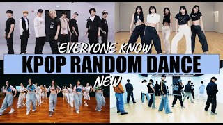 KPOP RANDOM DANCE MIRRORED  Everyone know [upl. by Llerruj627]