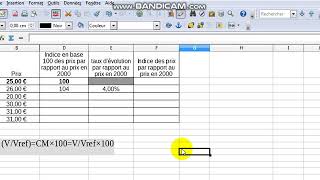 calcul indice évolution et taux [upl. by Casimir]