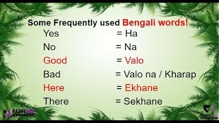 Learn Some Frequently Used Bengali Words in English Part 1 [upl. by Ataymik]