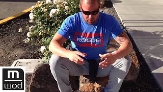 Low back ache test  Feat Kelly Starrett  MobilityWOD [upl. by Aietal]