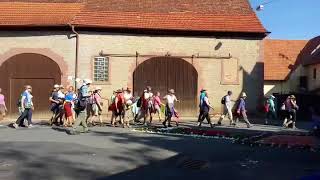 WalldürnWallfahrt 2018 Tag 4  Der Chaos stiftende Blumenteppich WalLingu18 [upl. by Esahc]