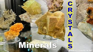 Minerals Crystals Gems EuroMineralExpo 2018 International Exhibition Minerali Turin 3 [upl. by Lettie]