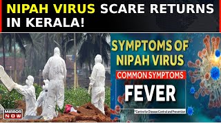 Nipah Virus Detected In Bat Samples Another Crisis Looming In The State Of Kerala  South Speaks [upl. by Yalc]