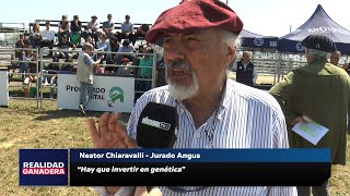 REALIDAD GANADERA  Nestor Chiaravalli [upl. by Lertram]