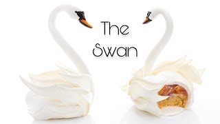 The Swan [upl. by Nomsed768]