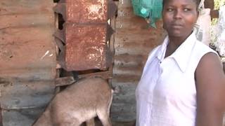 Isiolo Goat Project [upl. by Zosima]