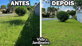 Como acabar com mato na grama  Chega de ervas daninhas  Vida de Jardineiro [upl. by Merrel]