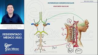 Neurología  3 ECV [upl. by Glyn]