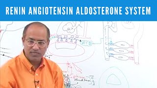 Renin Angiotensin Aldosterone System  RAAS👨‍⚕️ [upl. by Macdonald]