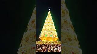 CHRISTMAS TREE LIGHTING in TAGUM CITY Wow kanindot  whileago 112224 7pm fypシ゚ fypage tagum [upl. by Goulet]