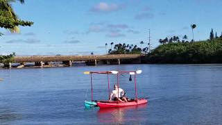 Solar Electric Boat  Kayak Catamaran on the Wailua River  Kauai [upl. by Rinna730]