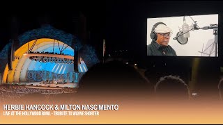 Herbie Hancock and Milton Nascimento Remembering Wayne Shorter at the Hollywood Bowl [upl. by Nwahsud700]