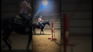 Sippin on Pepsi wait nah horse equestrianshow equestriansport equestrian viral blowup [upl. by Eal873]