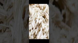 Sugarcane Bagasses Ash SCBAShortsStudyKnowledge [upl. by Encrata]