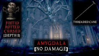 Bloodborne  Amygdala No Damage  Threaded Cane  Chalice Dungeon Depth 5 Foetid Rotted Cursed [upl. by Mcdermott]