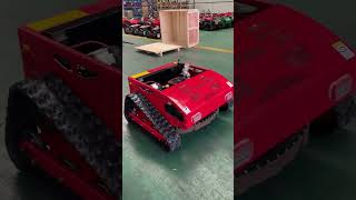 Is a remote control lawn mower worth buying Welcome to leave comments and messages rclawnmower [upl. by Gaves64]