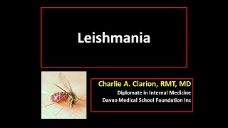 Leishmania spp [upl. by Newcomer]