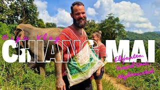 Endlich Elefanten  🇹🇭Chiang Mai Vlog Samoeng Loop Elefanten Tempel Altstadt [upl. by Ayama]