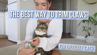 How to Trim Your Cats Claws at Home Easy and Fast [upl. by Walke]