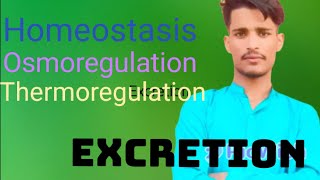 Homeostasis Osmoregulation Thermoregulation lecture in hindi [upl. by Airdna]