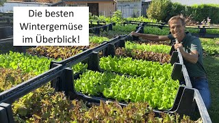 Der GROßE Wintergemüse Sortenüberblick  welche Gemüse eigenen sich für die kalte Jahreszeit [upl. by Leyameg855]