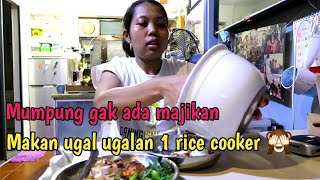 1 RICE COOKER habis  😱 GAK ADA MAJIKAN BIKIN KALAP [upl. by Carlynne346]