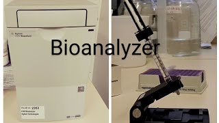 Bioanalyzer [upl. by Schulze]