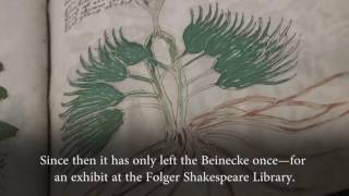 What We Know About the Voynich Manuscript [upl. by Milah]