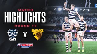 Geelong Cats v Hawthorn Highlights  Round 17 2024  AFL [upl. by Soni]