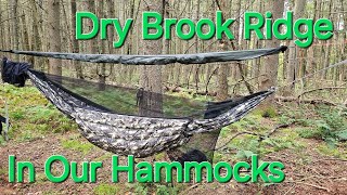 Dry Brook Ridge Wild Forest Catskill Mountains NY [upl. by Lleoj]